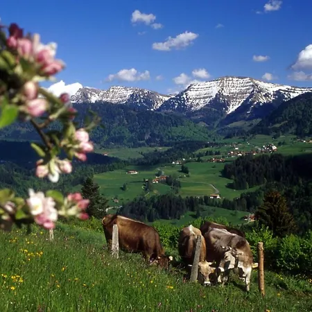 Fewo Panorama270, Oberstaufen/steibis Oberstaufen